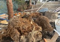 Şile Ağaçdere Mahallesi Hurdacı 10 Şile Ağaçdere Mahallesi Hurdacı