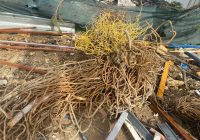 Şile Doğancılı Mahallesi Hurdacı